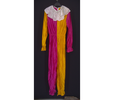 Dámský karnevalový kostým Ewening Wear